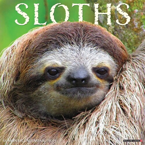 Sloths 2024 12 X 12 Wall Calendar (Wall)