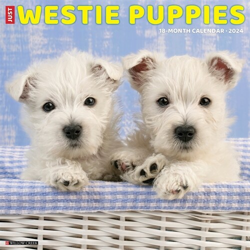 Just Westie Puppies 2024 12 X 12 Wall Calendar (Wall)