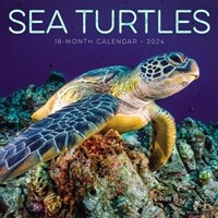 Sea Turtles 2024 12 X 12 Wall Calendar (Wall)