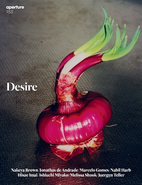 Desire: Aperture 253 (Paperback)