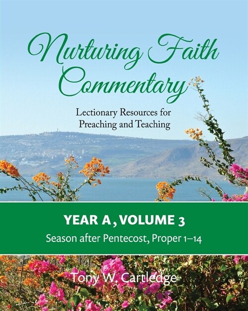 Nurturing Faith Commentary, Year A, Volume 3: Lectionary Resources for Preaching and Teaching-Season after Pentecost: Proper 1-14 (Paperback)