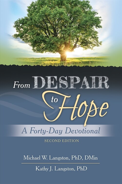 From Despair to Hope (Paperback)