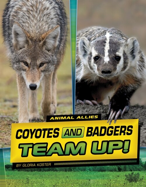 Coyotes and Badgers Team Up! (Paperback)