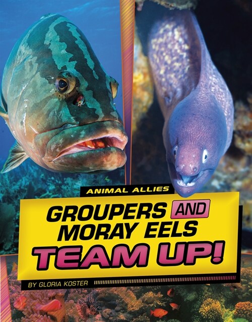 Groupers and Moray Eels Team Up! (Paperback)