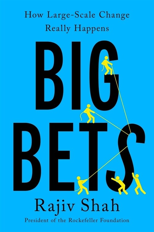 Big Bets: How Large-Scale Change Really Happens (Hardcover)