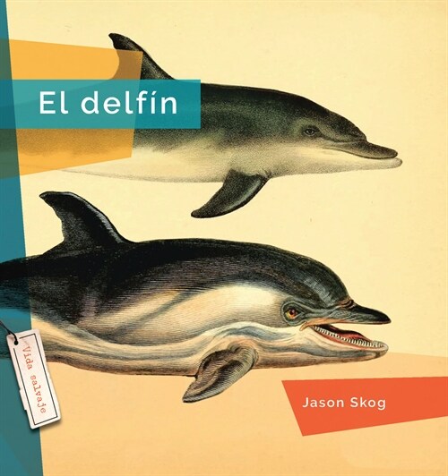 El Delfin (Paperback)