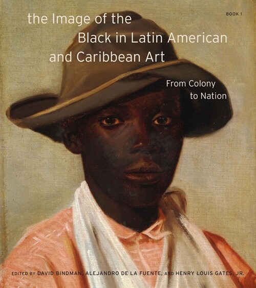 The Image of the Black in Latin American and Caribbean Art (Hardcover)