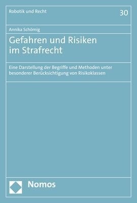 Gefahren Und Risiken Im Strafrecht: Eine Darstellung Der Begriffe Und Methoden Unter Besonderer Berucksichtigung Von Risikoklassen (Paperback)