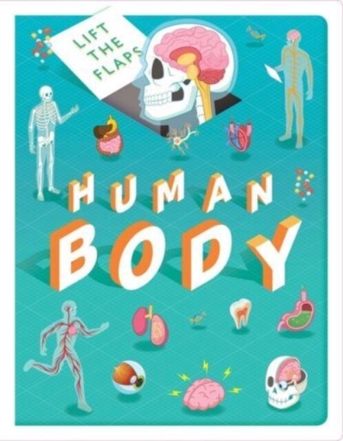 Lift The Flaps: Human Body (Board Book)