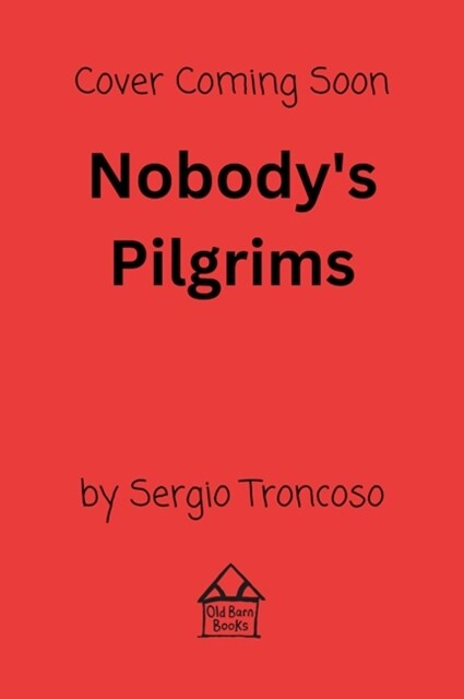 Nobodys Pilgrims (Paperback)