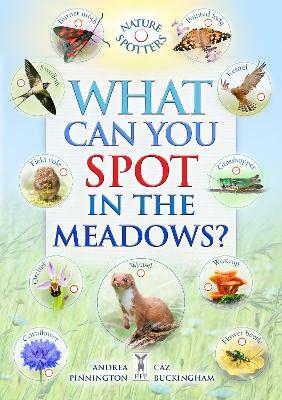 What Can You Spot in the Meadows? (Paperback)