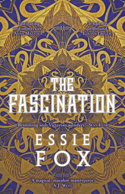 The Fascination : The INSTANT SUNDAY TIMES BESTSELLER ... This years most bewitching, beguiling Victorian gothic novel (Hardcover)