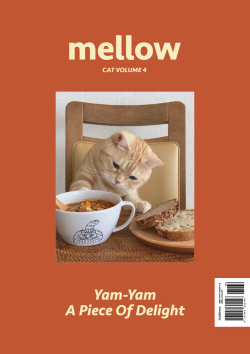 Mellow Cat Volume 4 (멜로우매거진)