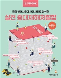 (광장 변호사들이 사고 사례로 분석한) 실전 중대재해처벌법 