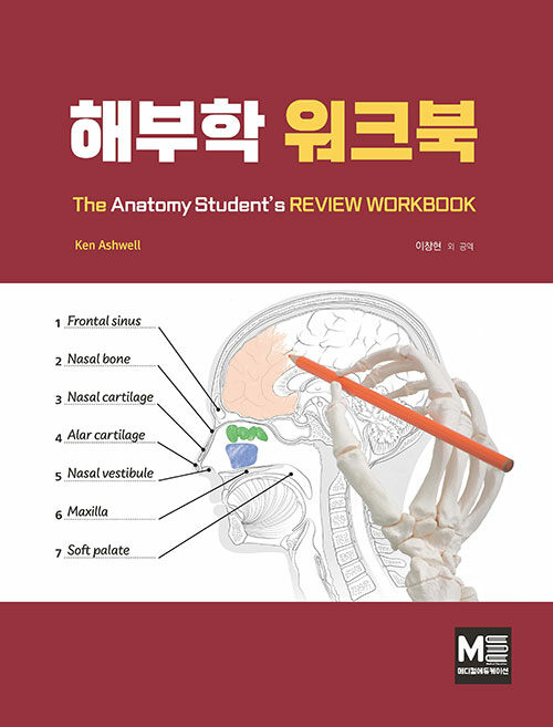 해부학 워크북