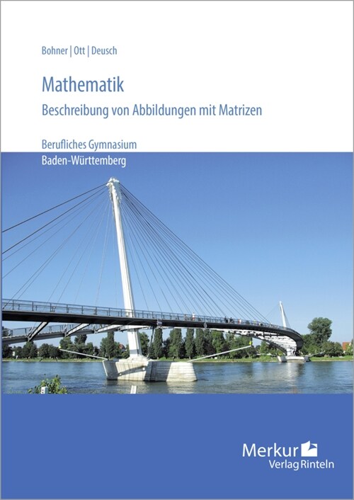 Mathematik (Paperback)