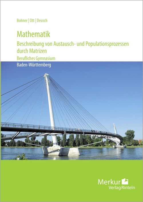 Mathematik (Paperback)