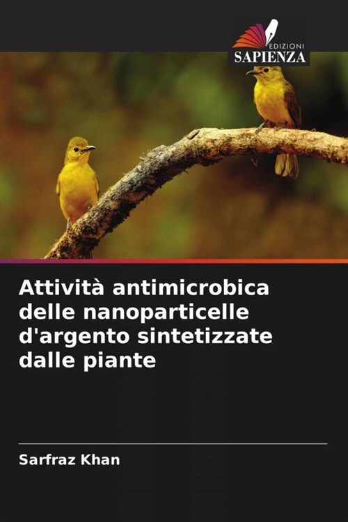 Attivita antimicrobica delle nanoparticelle dargento sintetizzate dalle piante (Paperback)