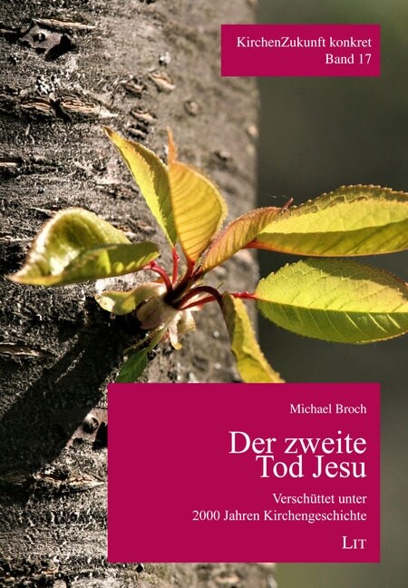 Der zweite Tod Jesu (Paperback)