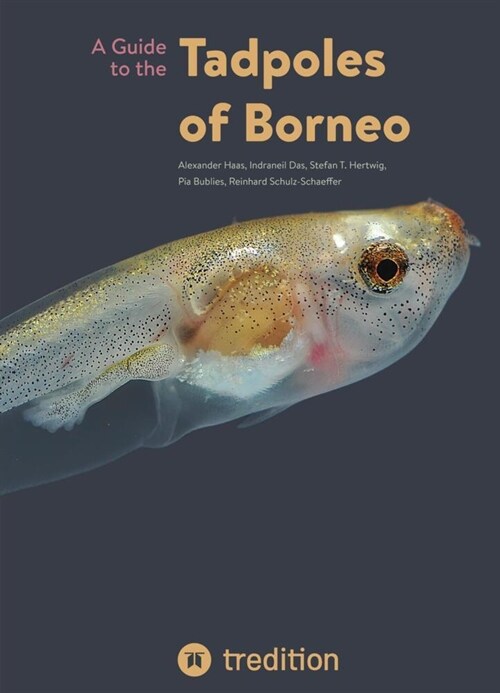 A Guide to the Tadpoles of Borneo (Paperback)