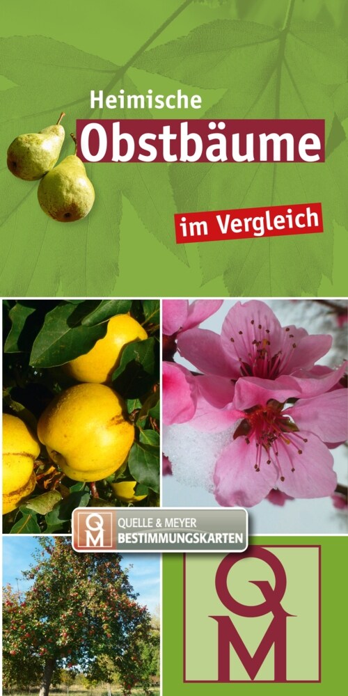 Heimische Obstbaume im Vergleich (Book)