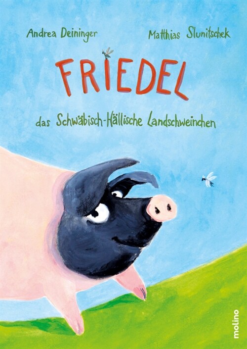 Friedel, das Schwabisch-Hallische Landschweinchen (Hardcover)
