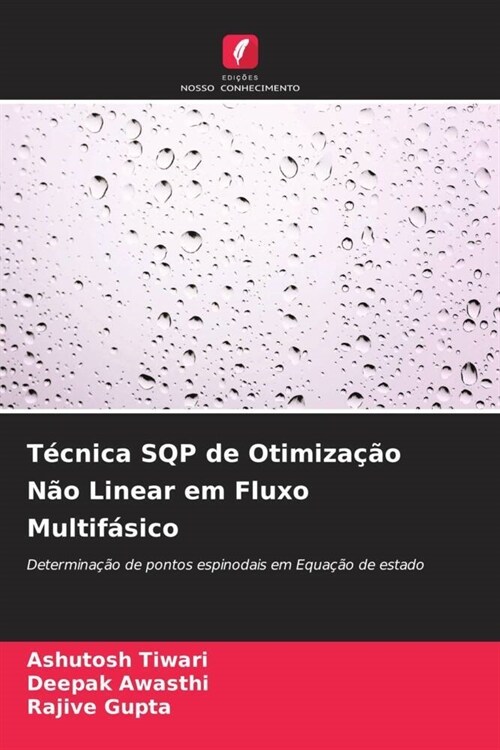 Tecnica SQP de Otimizacao Nao Linear em Fluxo Multifasico (Paperback)