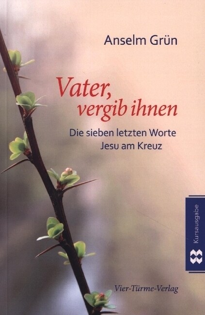 Vater vergib ihnen (Paperback)