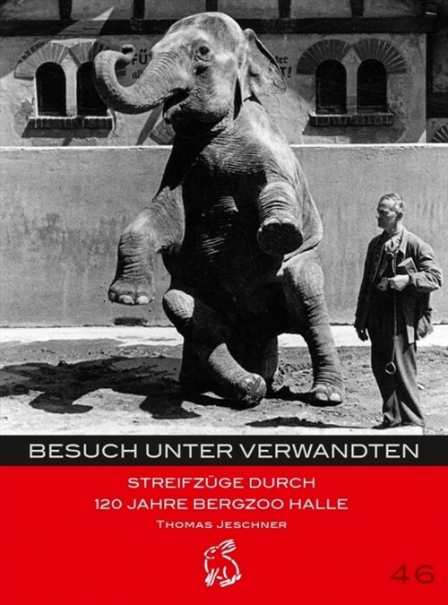 Besuch unter Verwandten (Paperback)