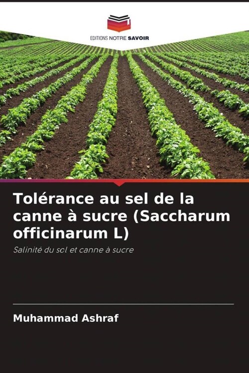 Tolerance au sel de la canne a sucre (Saccharum officinarum L) (Paperback)