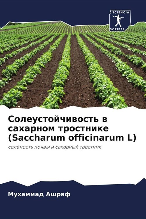 Soleustojchiwost w saharnom trostnike (Saccharum officinarum L) (Paperback)
