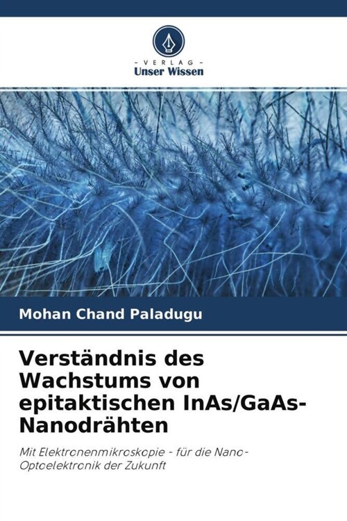 Verstandnis des Wachstums von epitaktischen InAs/GaAs-Nanodrahten (Paperback)