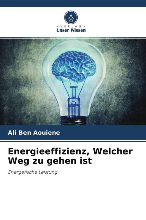 Energieeffizienz, Welcher Weg zu gehen ist (Paperback)