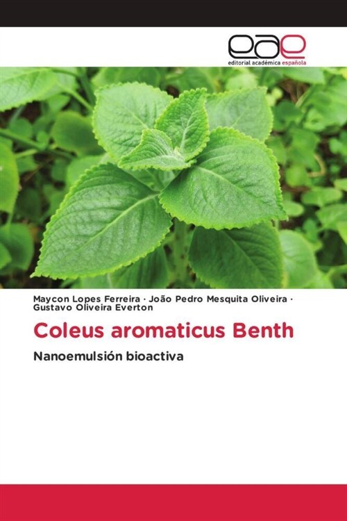 Coleus aromaticus Benth (Paperback)