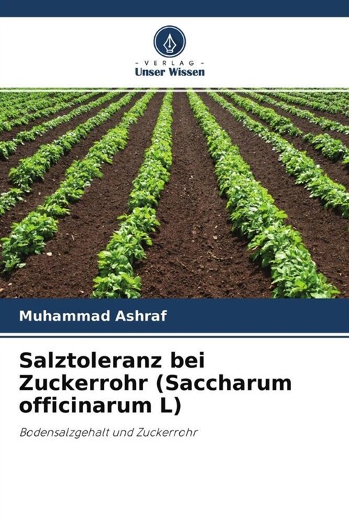 Salztoleranz bei Zuckerrohr (Saccharum officinarum L) (Paperback)