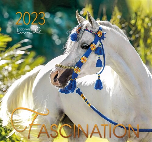Fascination 2023 (Calendar)