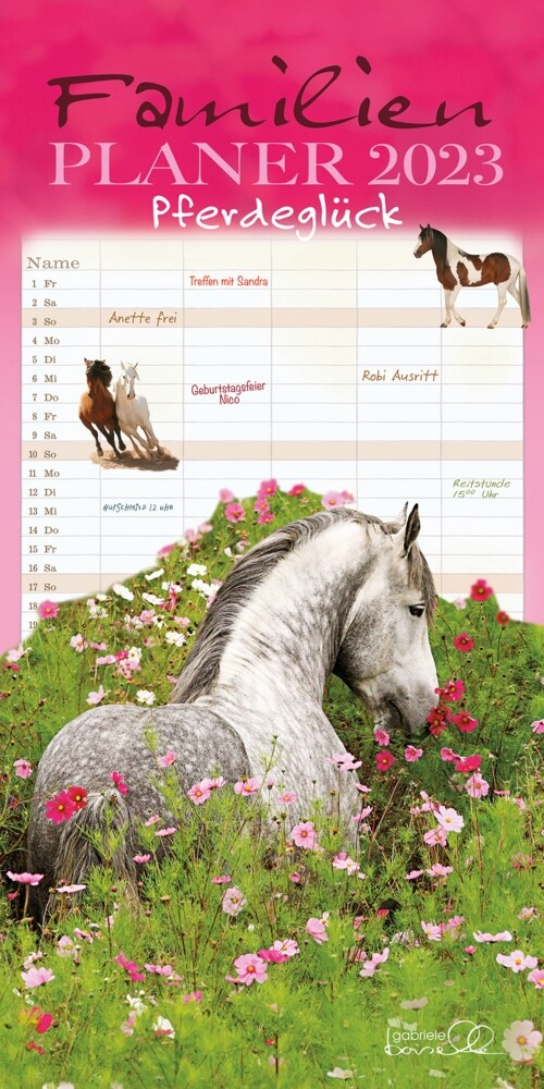 Familienplaner Pferdegluck 2023 (Calendar)