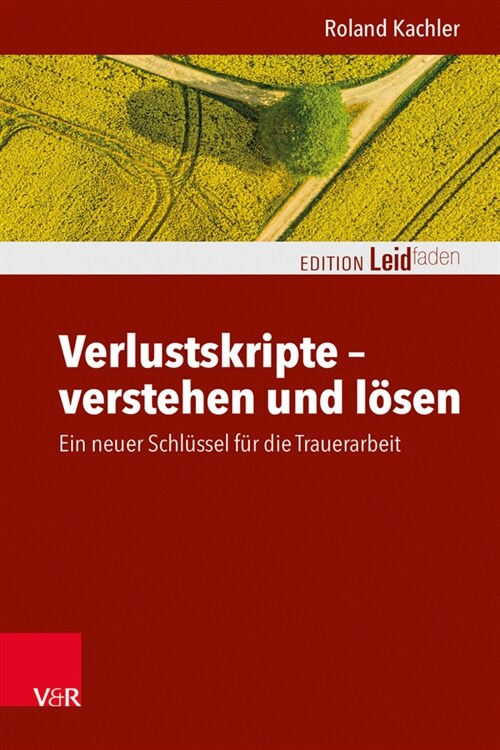 Verlustskripte - verstehen und losen (Paperback)