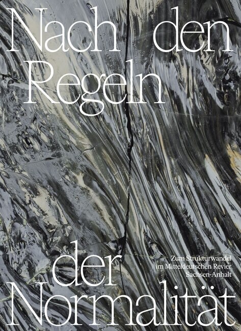 Nach den Regeln der Normalitat (Paperback)