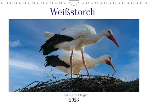 Weißstorch, der stolze Flieger (Wandkalender 2023 DIN A4 quer) (Calendar)