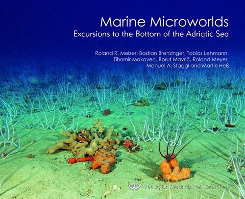 Marine Microworlds (Hardcover)