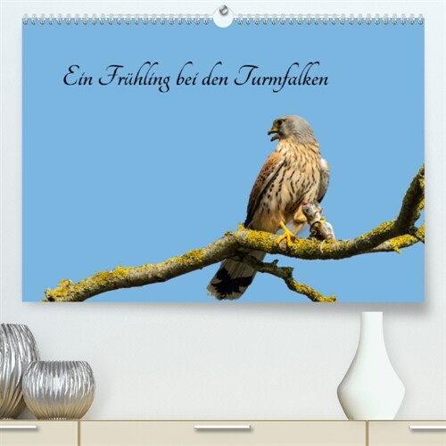 Ein Fruhjahr bei den Turmfalken (Premium, hochwertiger DIN A2 Wandkalender 2023, Kunstdruck in Hochglanz) (Calendar)