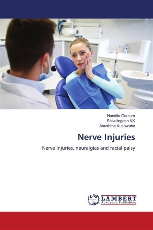 Nerve Injuries (Paperback)