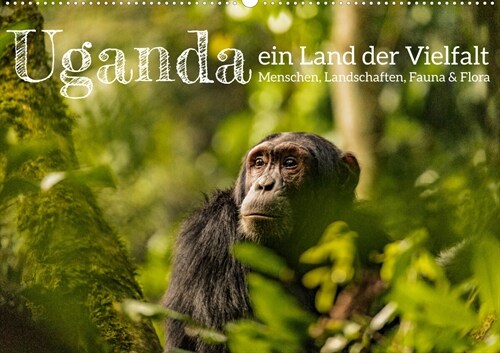 Uganda - ein Land der Vielfalt (Wandkalender 2023 DIN A2 quer) (Calendar)