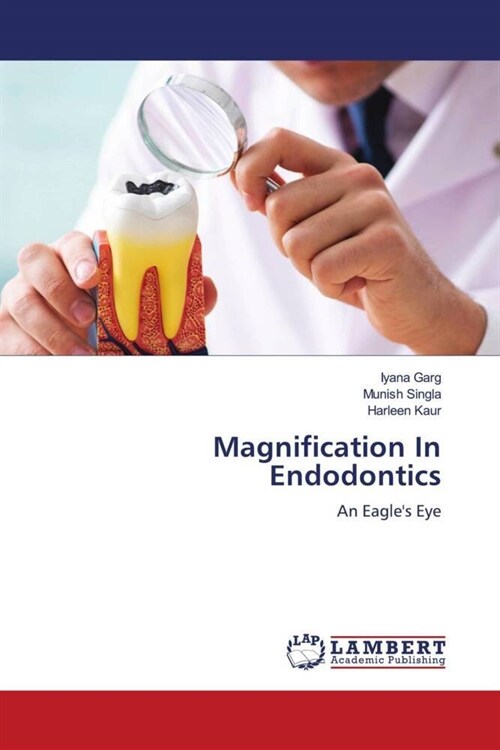 Magnification In Endodontics (Paperback)