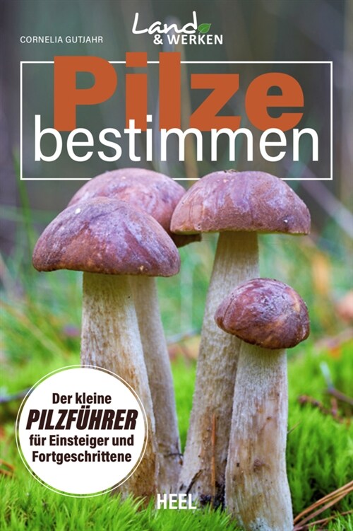 Pilze bestimmen - Der kleine Pilzfuhrer fur Einsteiger und Fortgeschrittene (Paperback)