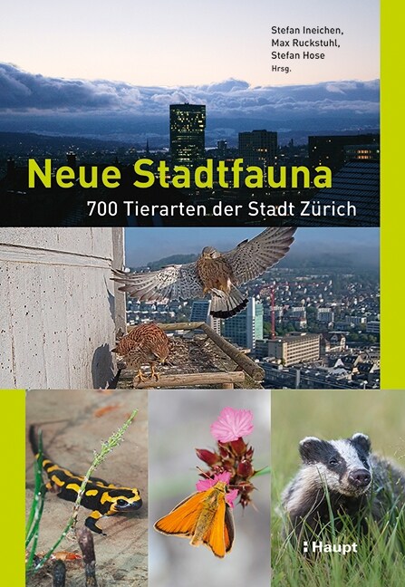 Neue Stadtfauna (Paperback)