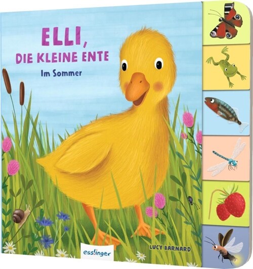 Elli, die kleine Ente (Board Book)