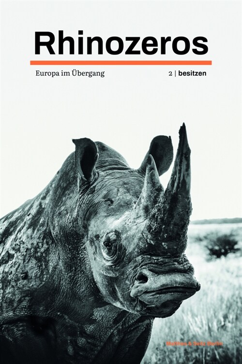 Rhinozeros II (Paperback)