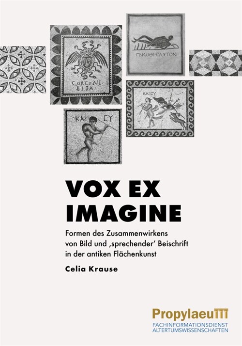 Vox ex imagine (Hardcover)